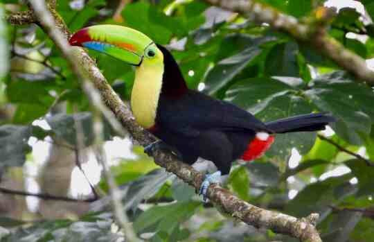 Guanacaste Adventure & Travel景点图片