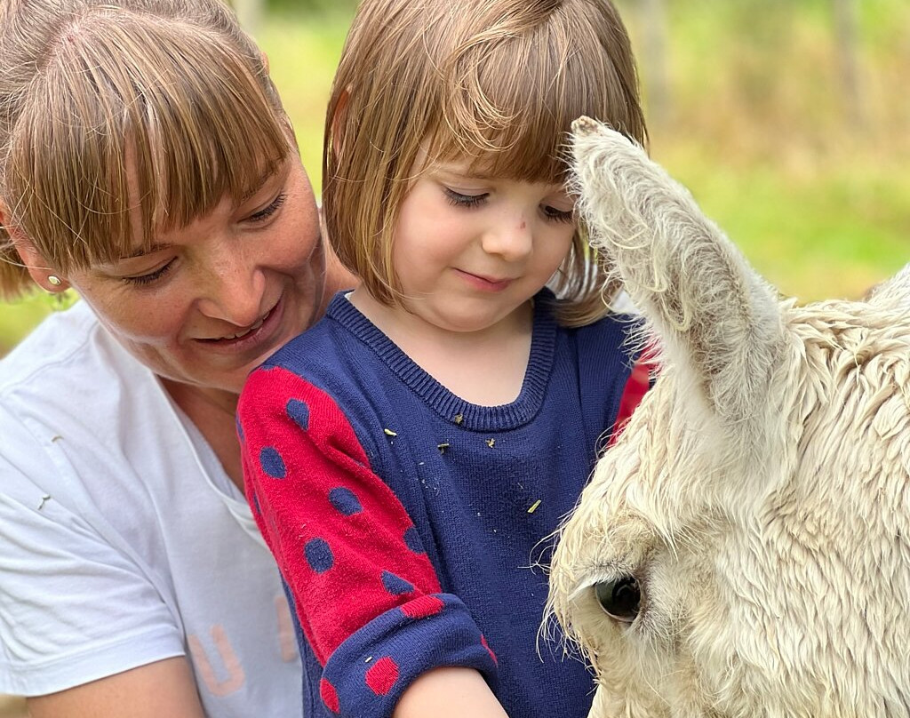 Alpaca Farm Experience景点图片