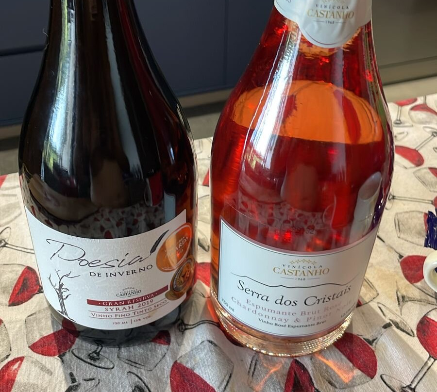 Vinicola Castanho-容迪亚伊必去景点