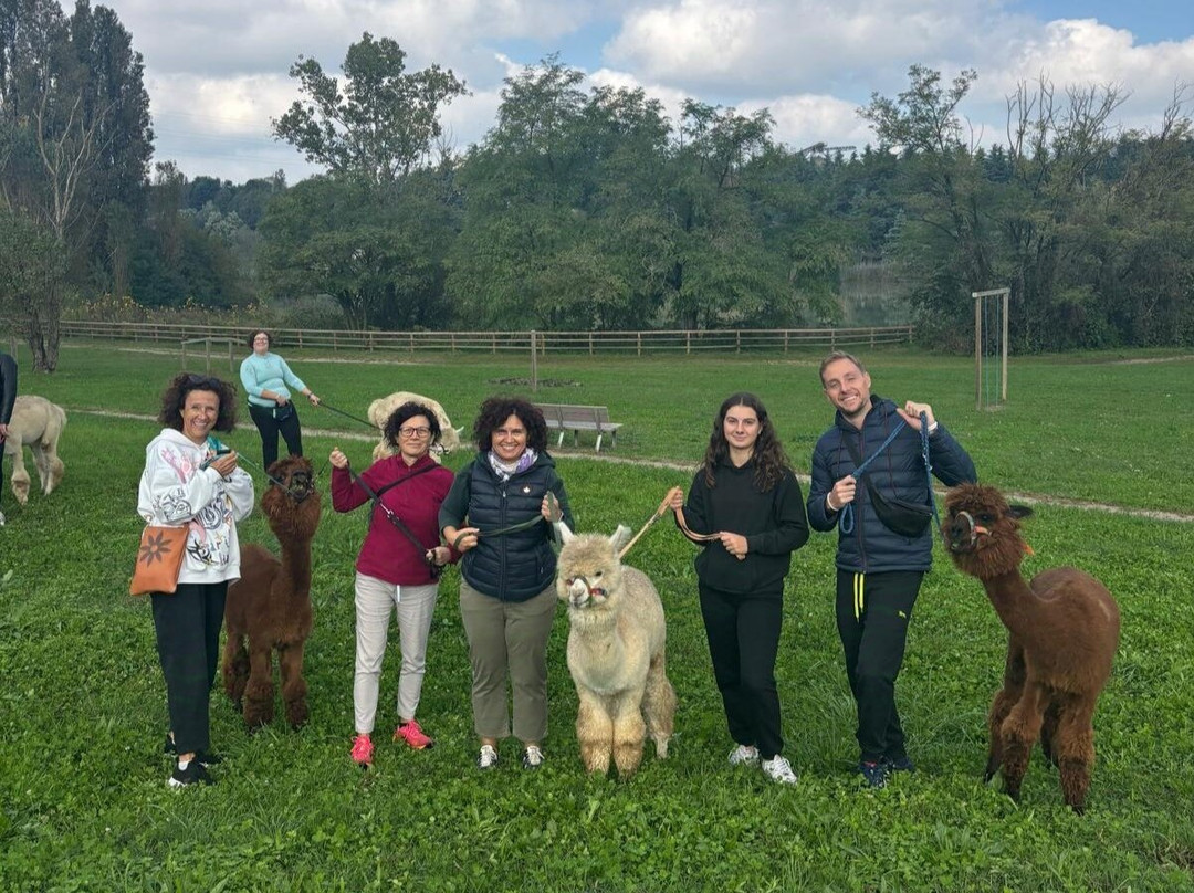 Alpacamp Il Campo Degli Angeli景点图片