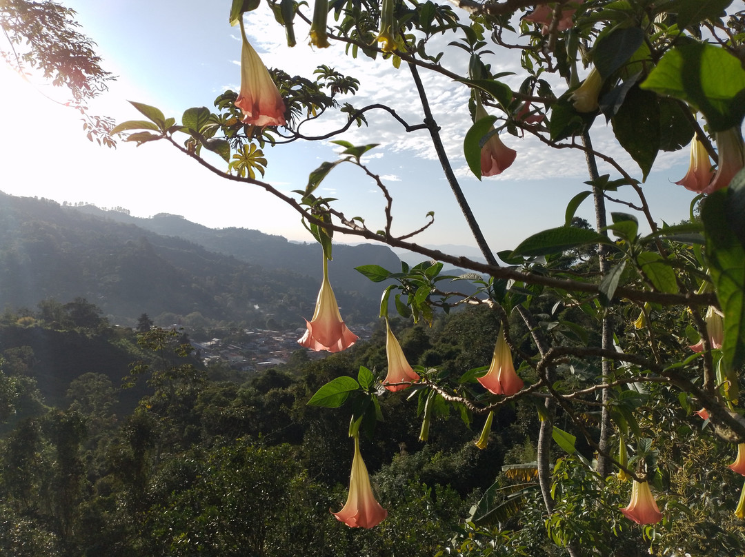 Alto de la Virgen景点图片