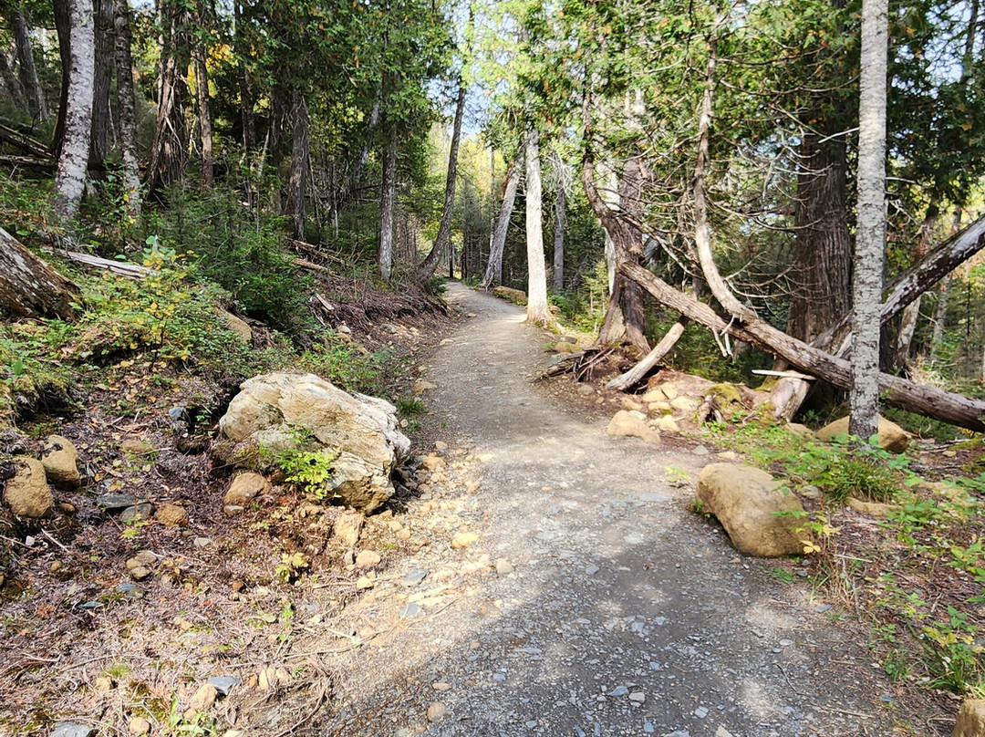 Parc National de la Gaspesie景点图片