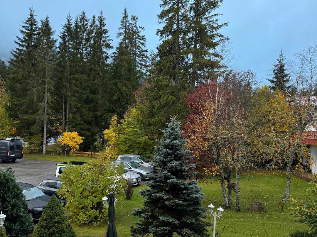 Alpenhotel Karwendel主图