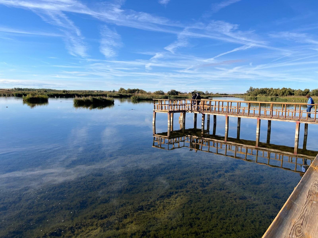 Parque Nacional de las Tablas de Daimiel景点图片