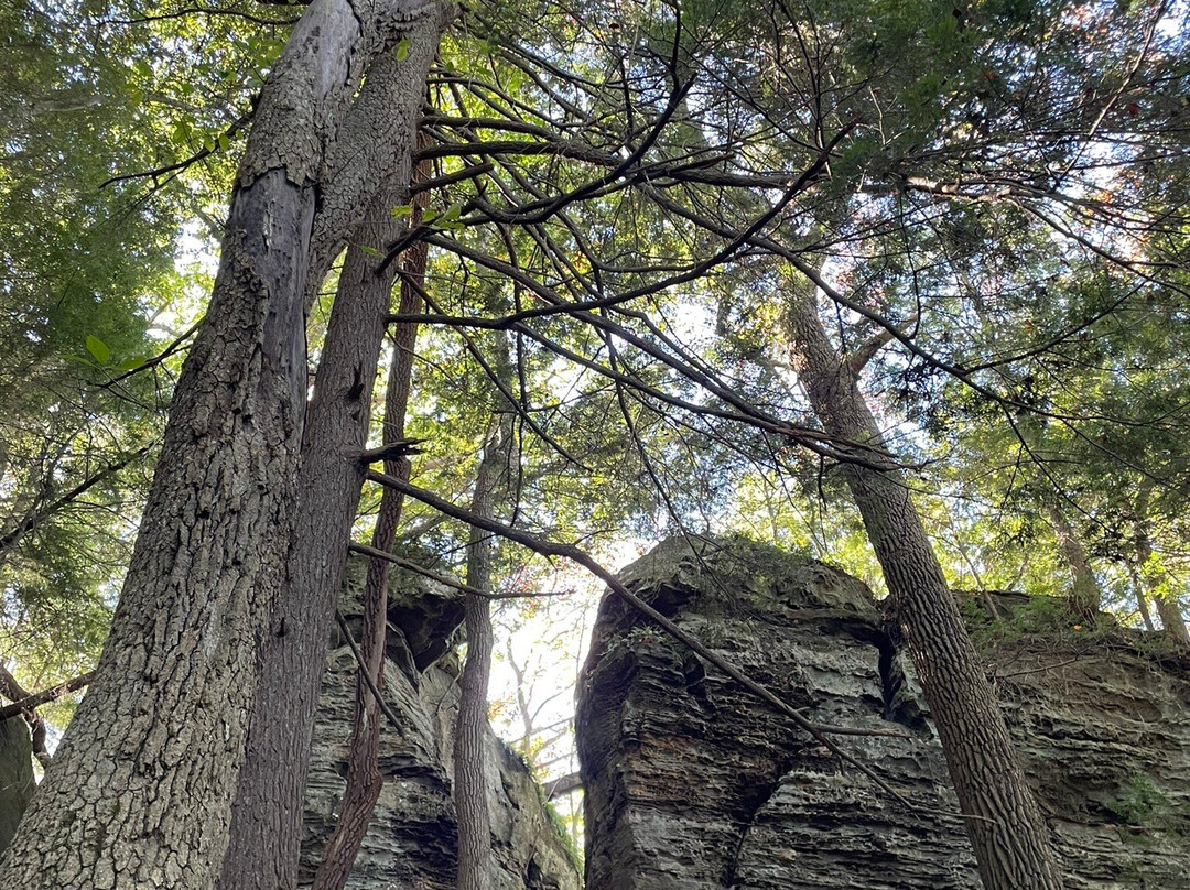 High Rock Adventures-Rockbridge必去景点