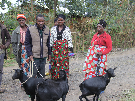 Hope Tours Africa-吉佳利必去景点