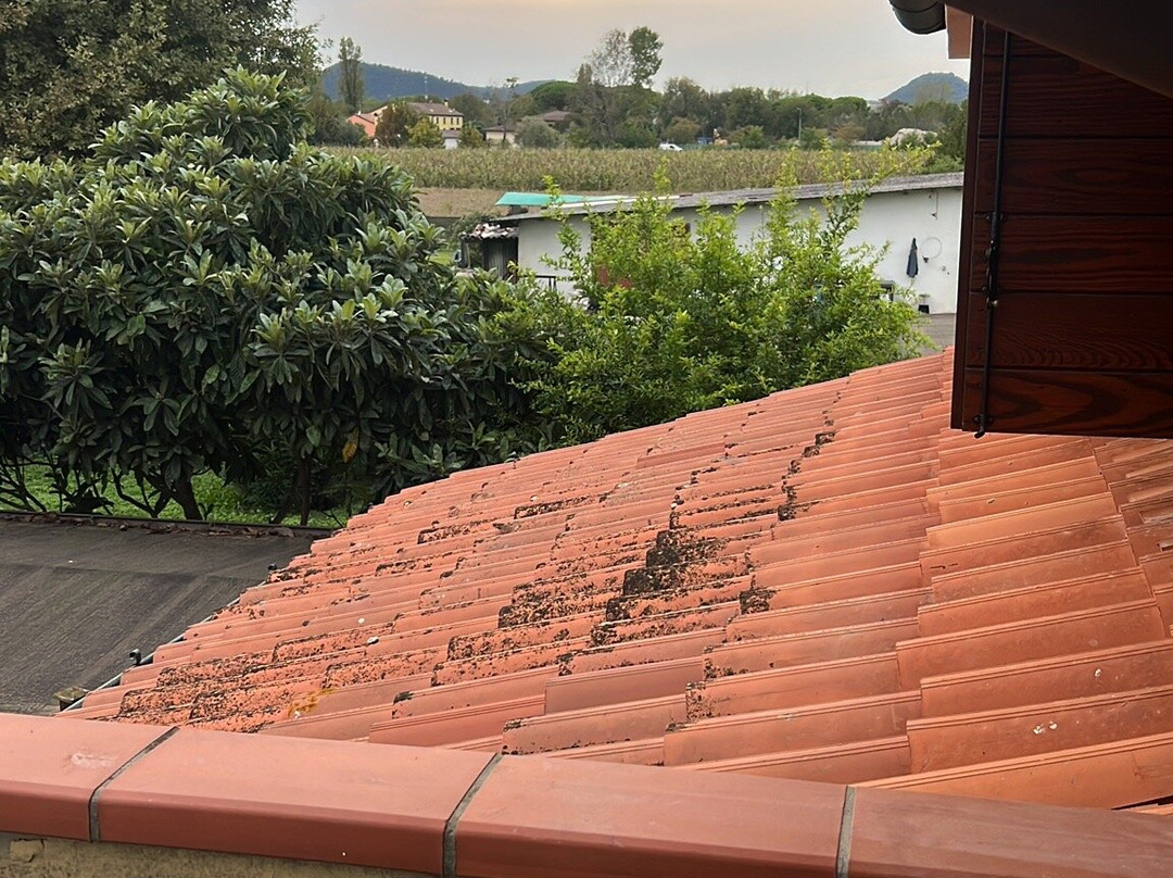 B&B Dora e Flavio主图