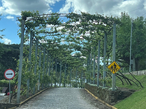 Praca Regional da Uva-Otavio Rocha必去景点