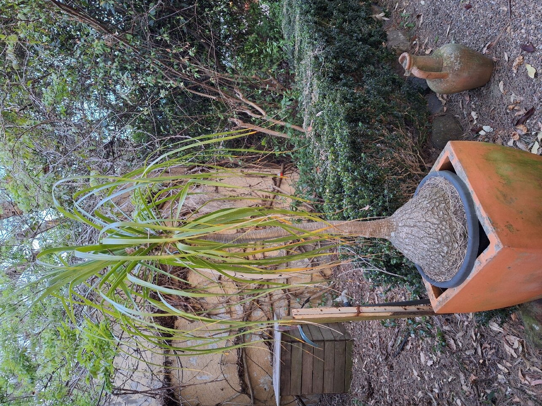 Tilba Lake House主图