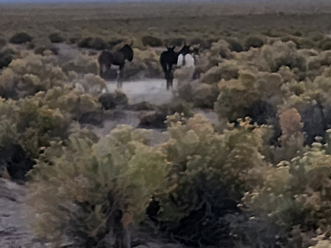 Spencer Hot Springs-Austin必去景点