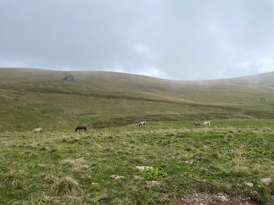 Piani Dell'avaro , Cusio