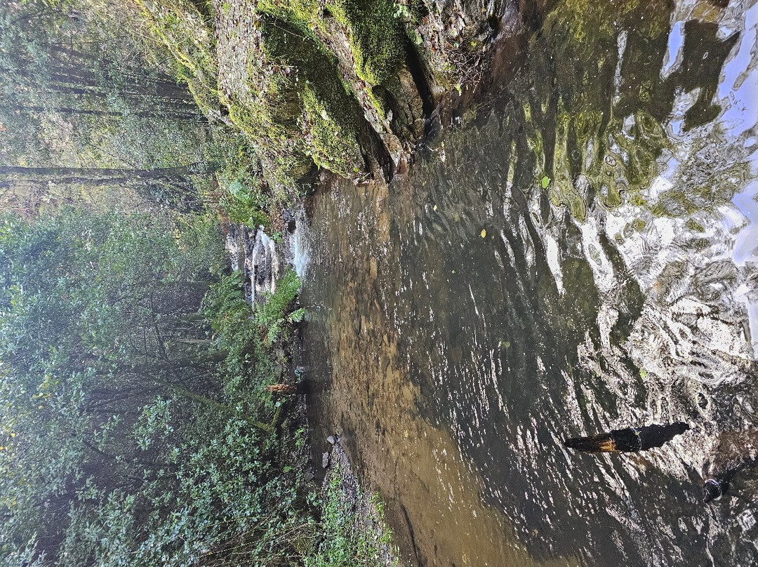 Cascata da Pedra da Ferida景点图片
