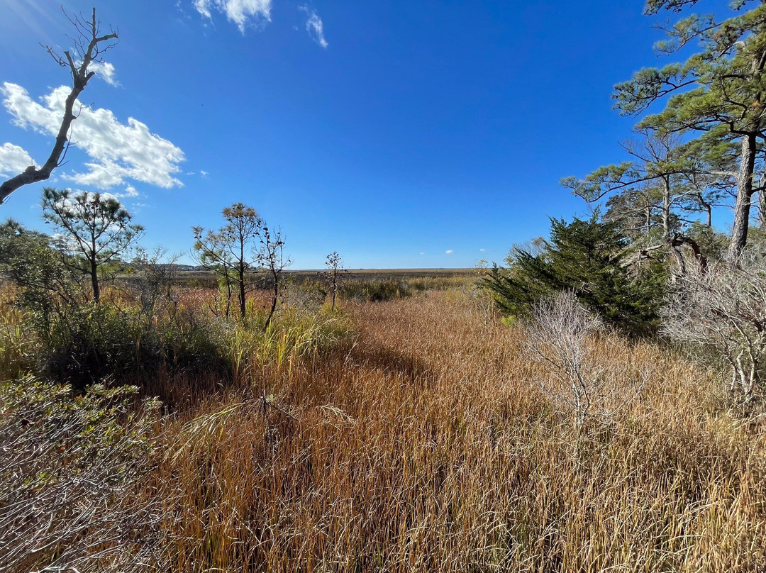Nags Head Woods Preserve景点图片