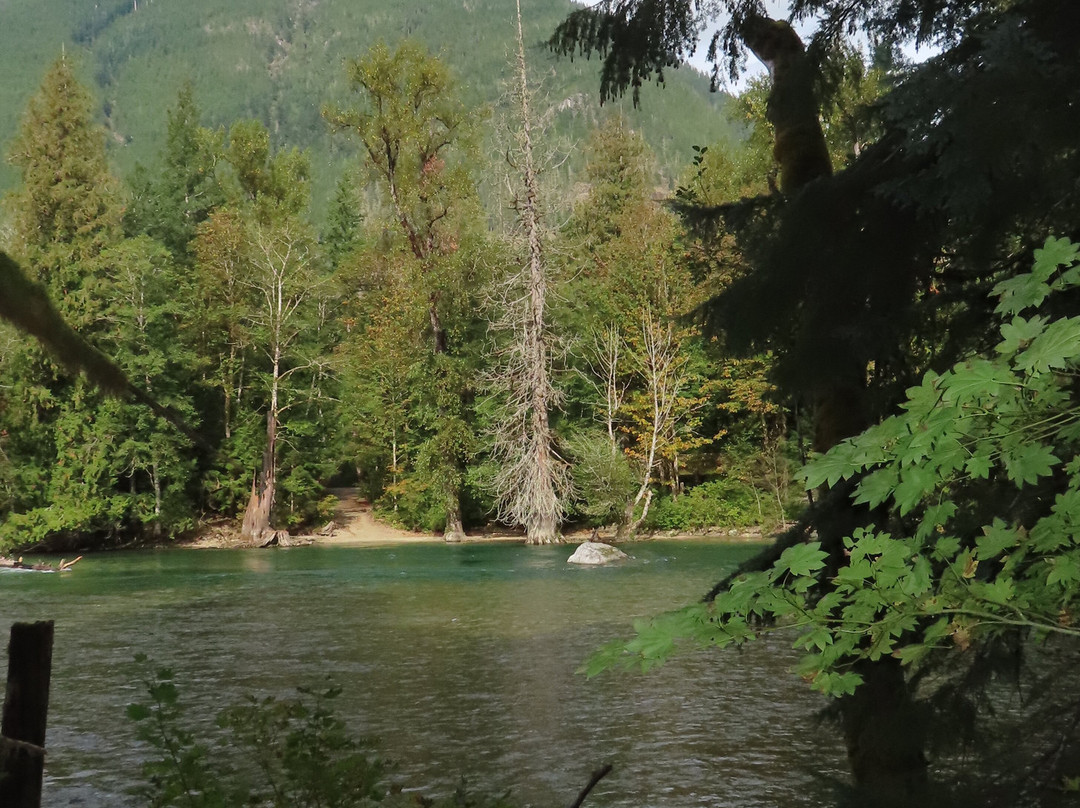 Skagit River Loop Trail景点图片