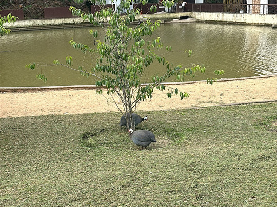 Spazio di Garda主图