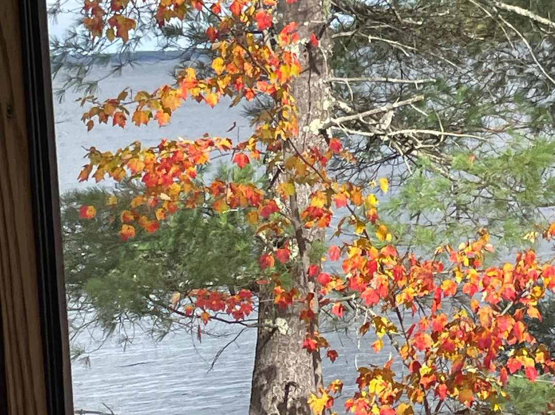 Belfast & Moosehead Lake Railroad景点图片