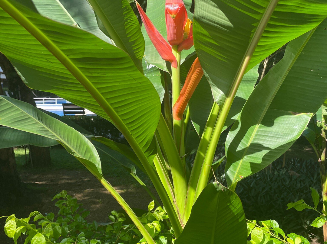 Hotel Mar de Luz主图