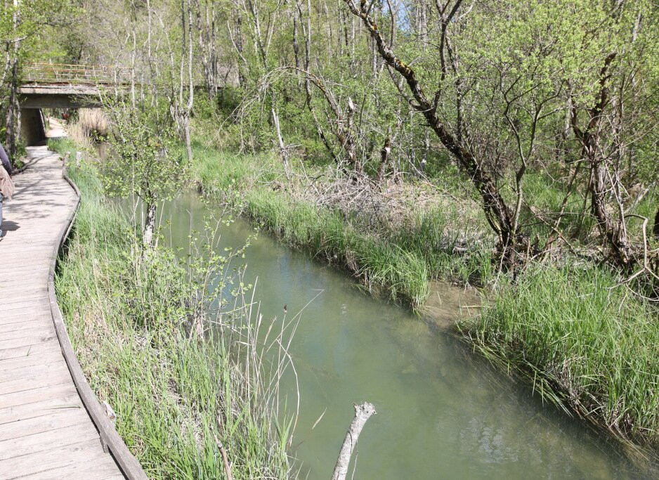 Marais Des Bouligons