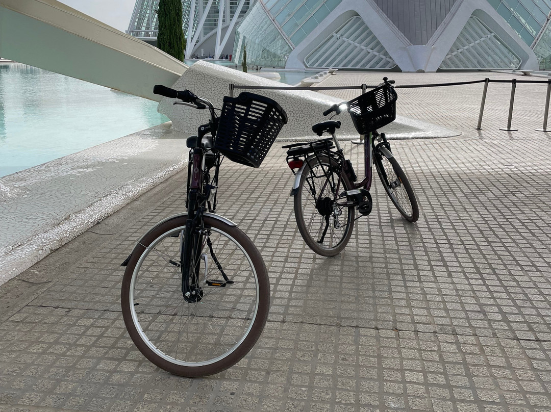 City Tours Eindhoven景点图片