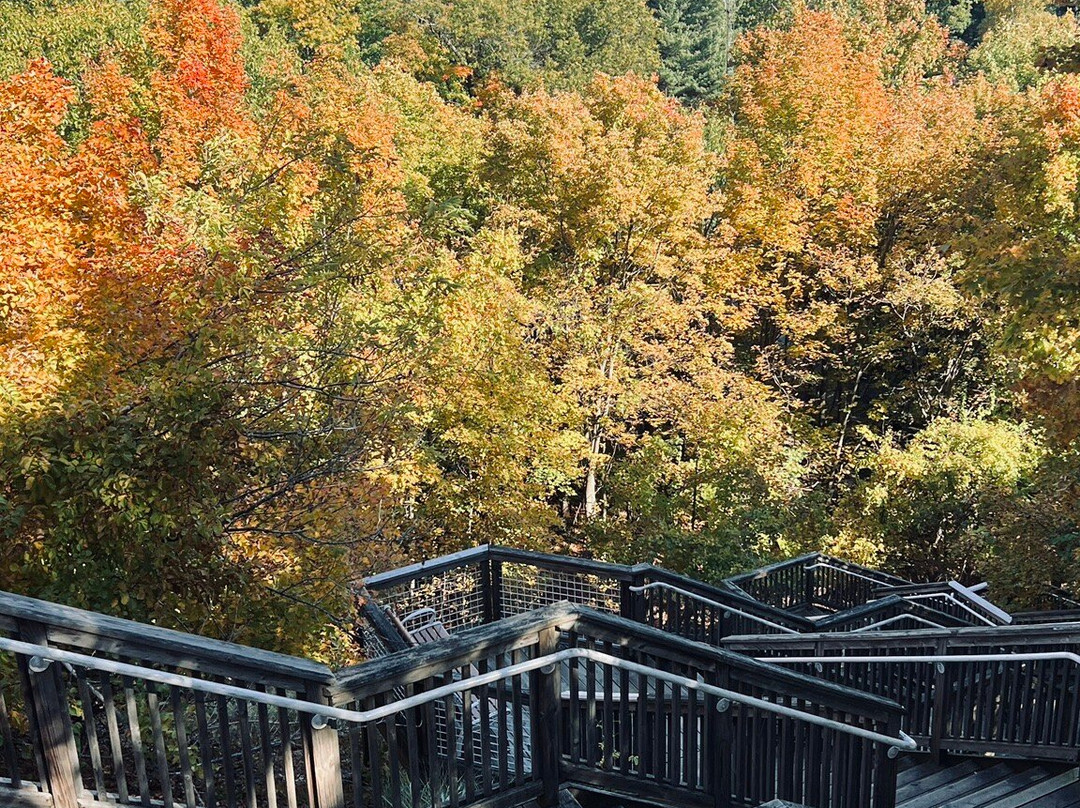毗斯迦山-荷兰村必去景点