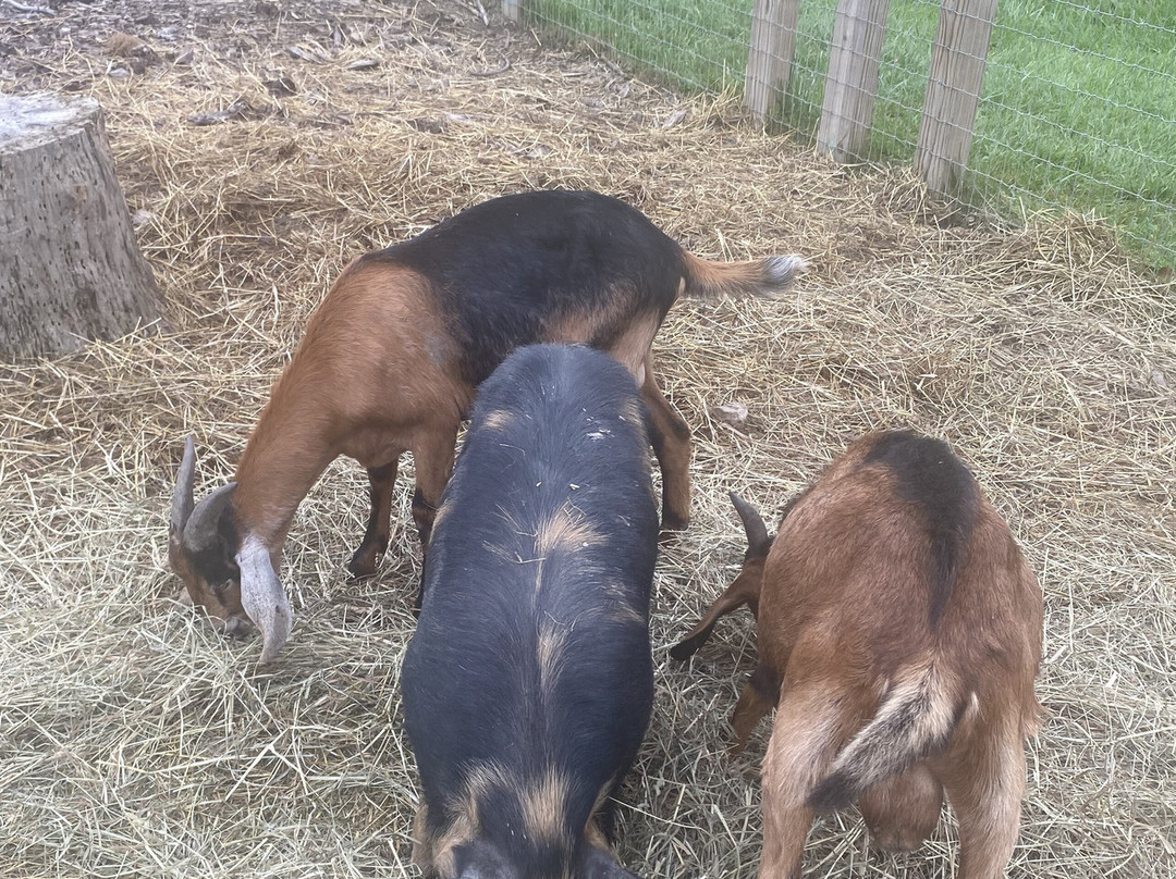 Plymouth Orchard and Cider Mill-普利茅斯必去景点