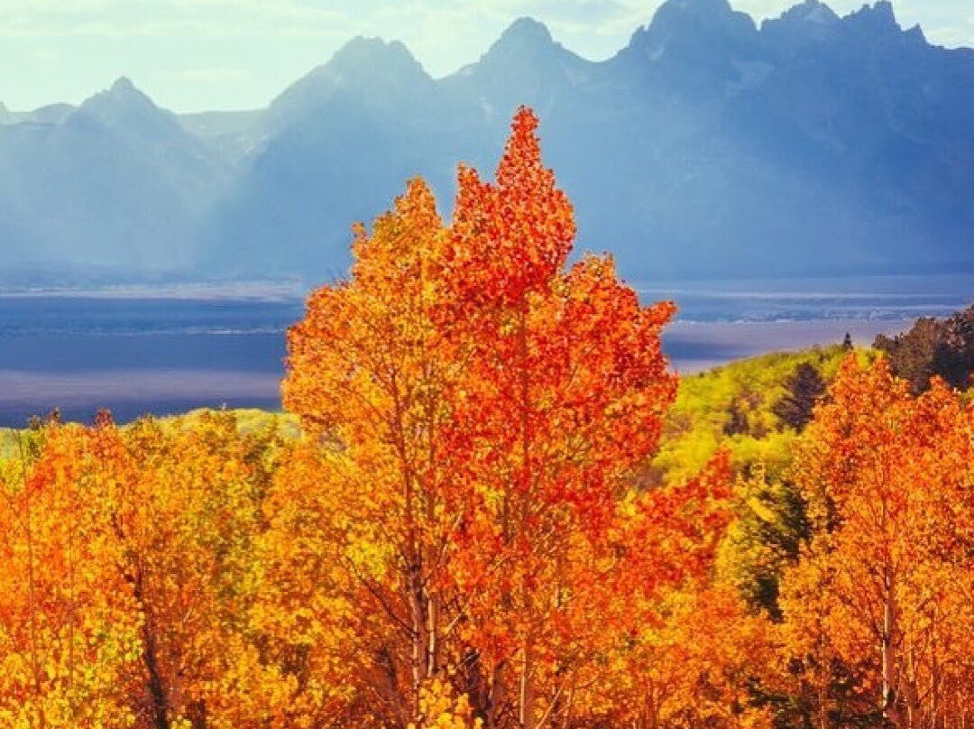 Snake River Lodge & Spa-提顿村必去景点