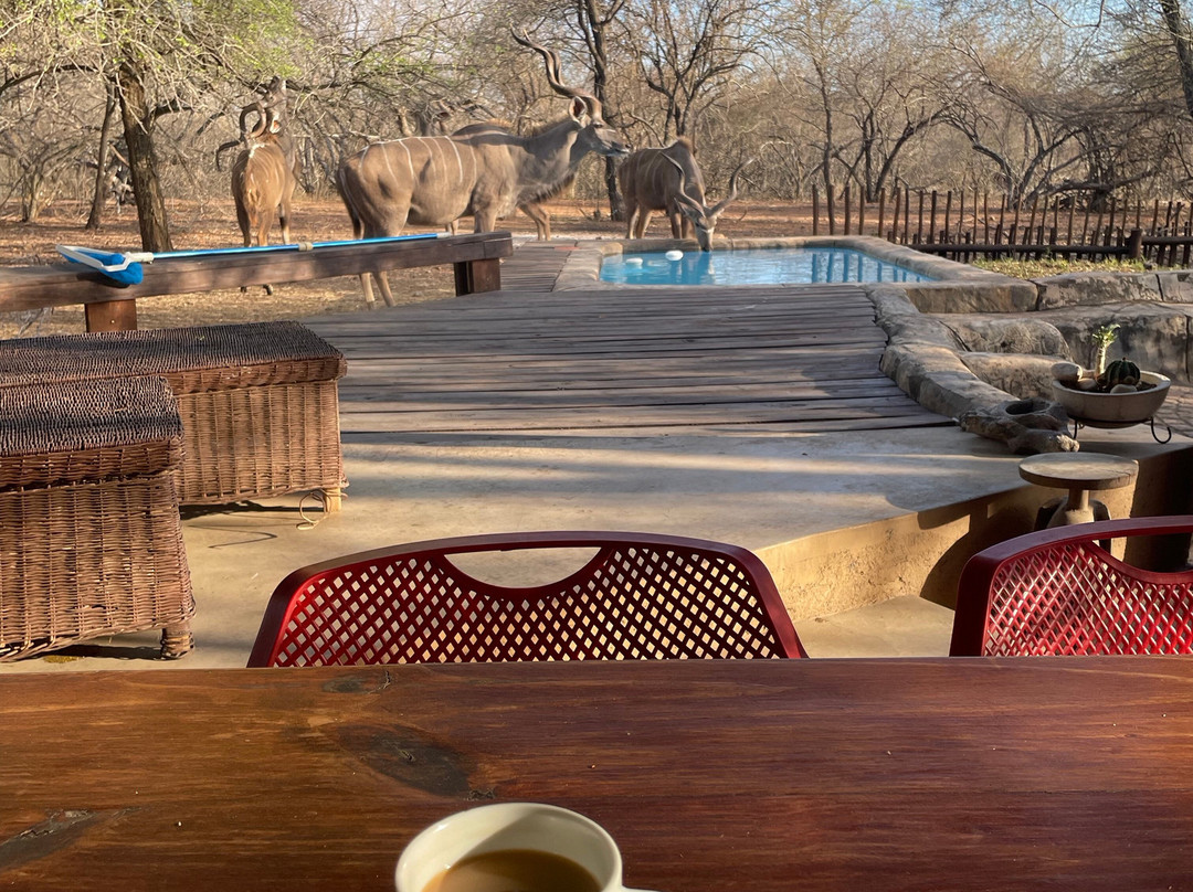 Khaya Umdani Guest Houses主图