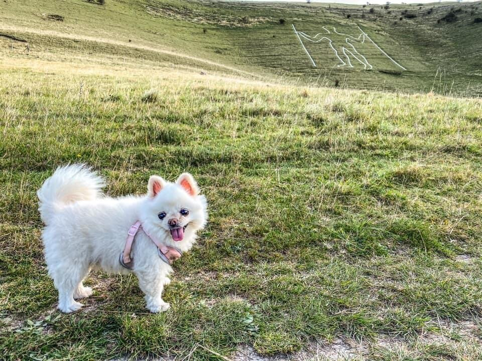 The Long Man of Wilmington景点图片
