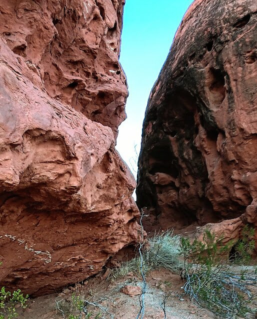 Pioneer Park-哈里肯必去景点