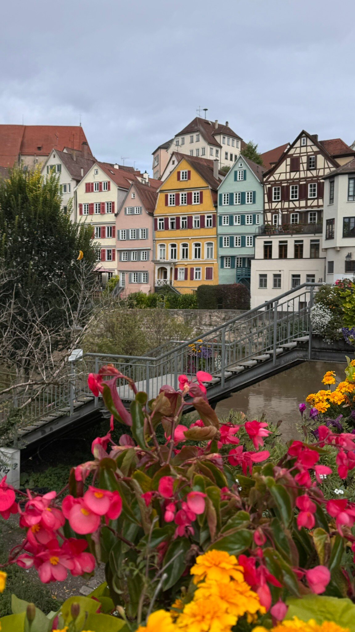 Domizil Tubingen-官方
