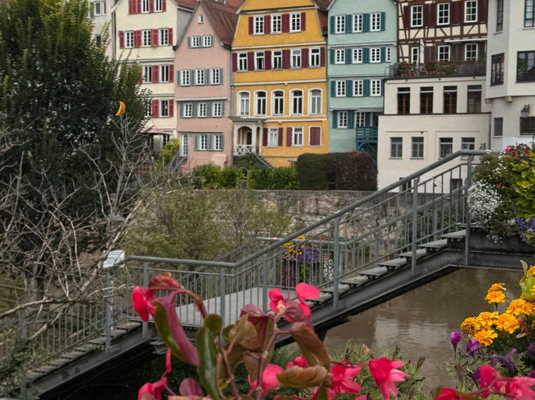 Domizil Tubingen主图