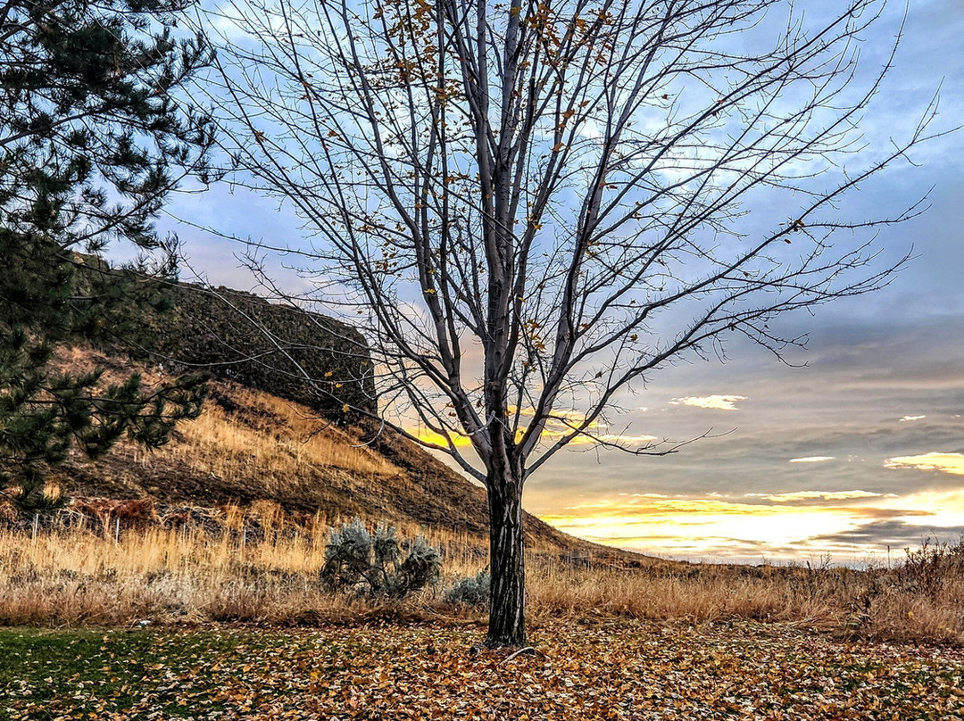 Oxford Suites Hermiston主图