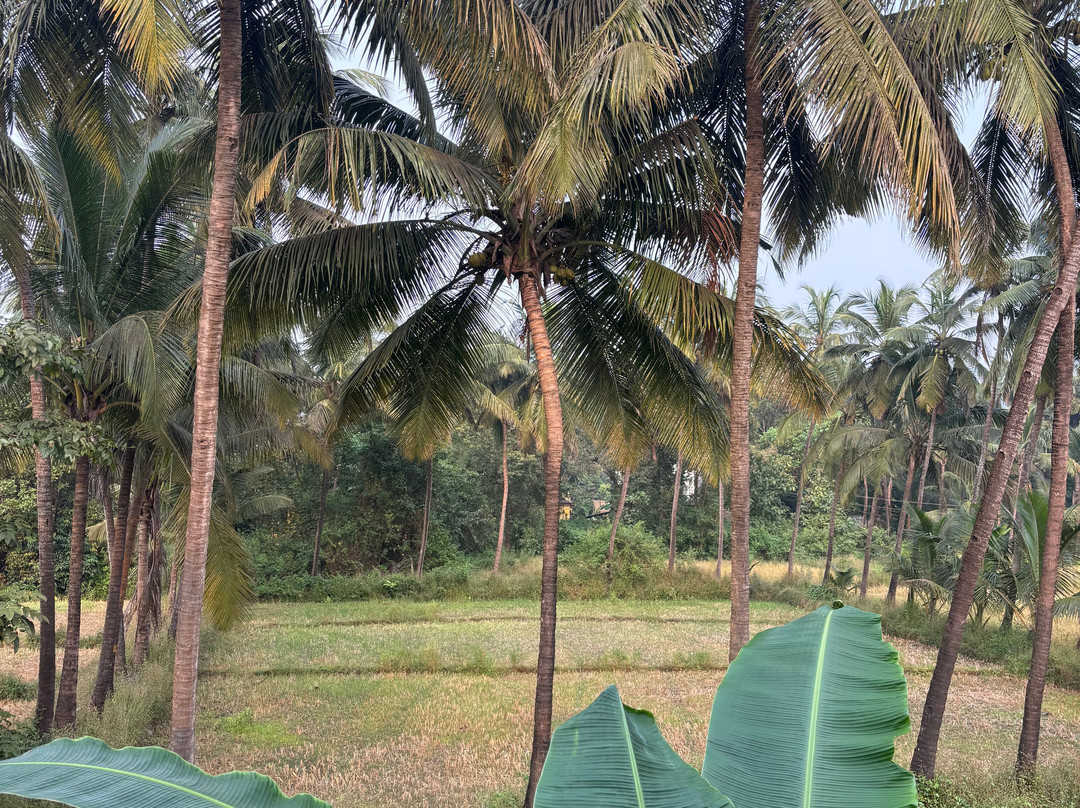 Veda5 Wellness Retreat & Spa主图