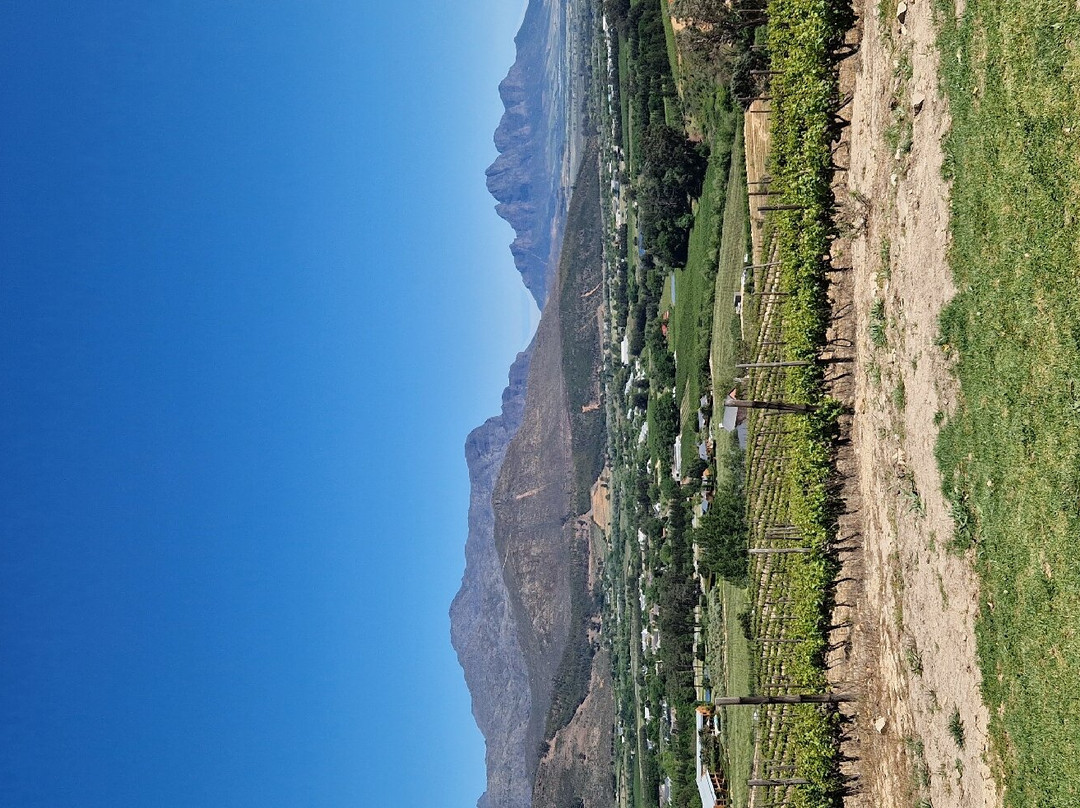 Dieu Donne Vineyards & Tasting Room-法兰舒克必去景点