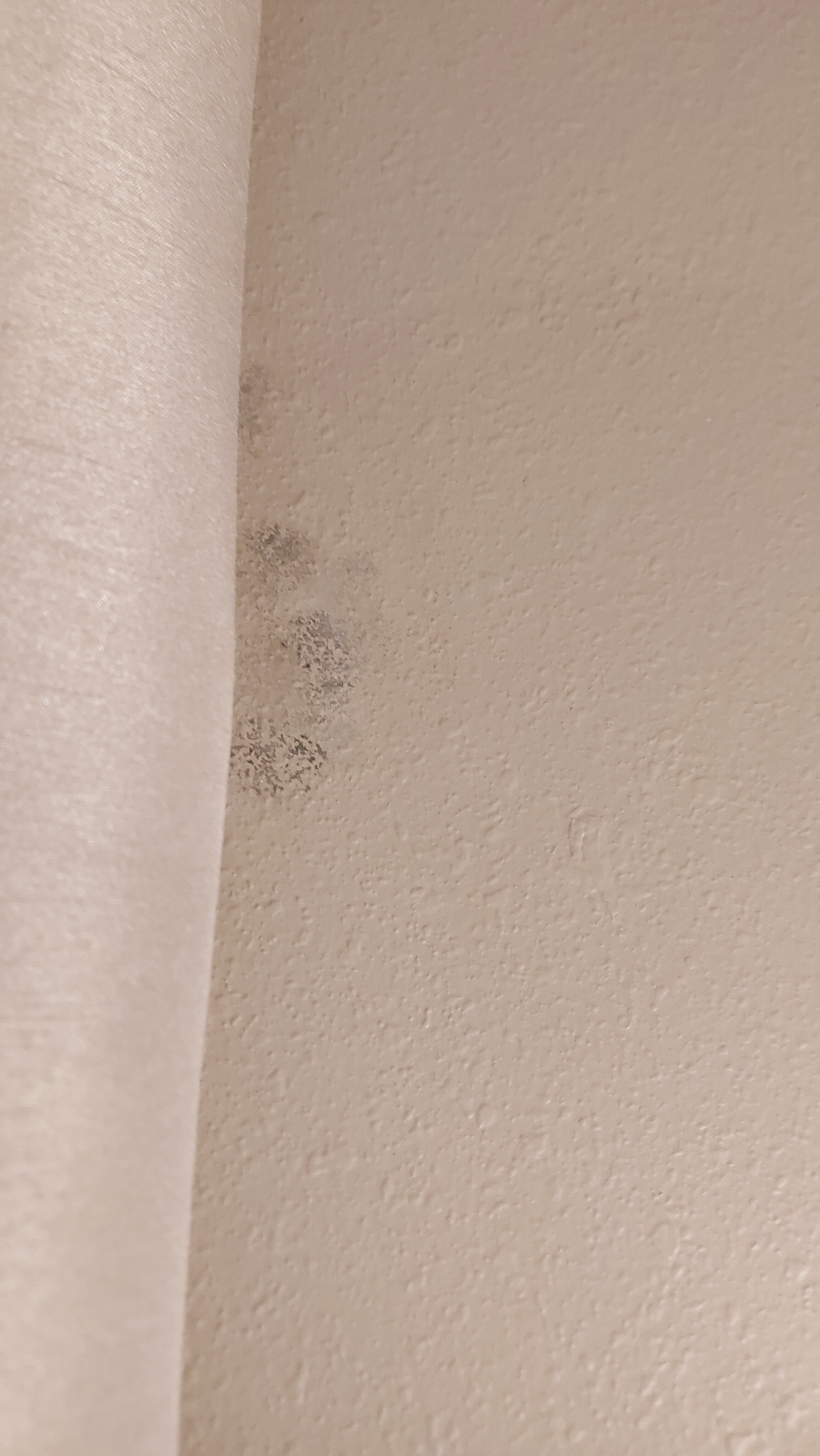 Comfort Inn & Suites-客卧