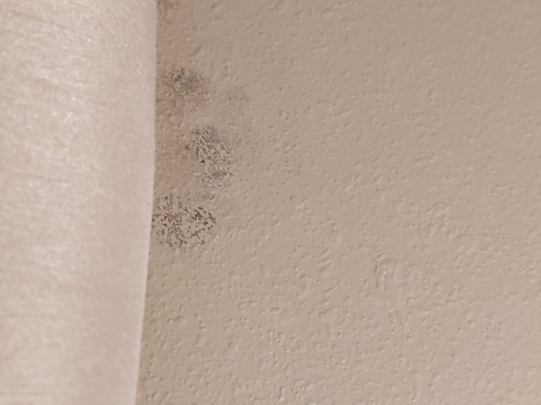 Comfort Inn & Suites主图