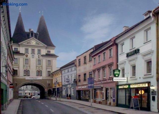 Bad Wimsbach-Neydharting酒店住宿-Gasthof Hofbauer