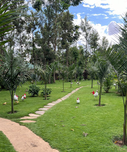 Mtoni River Lodge酒店图片