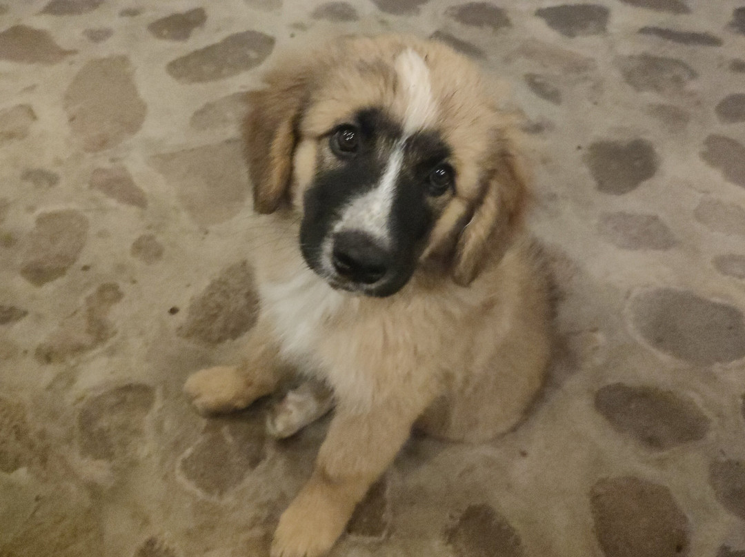 Tenuta Blancamar主图