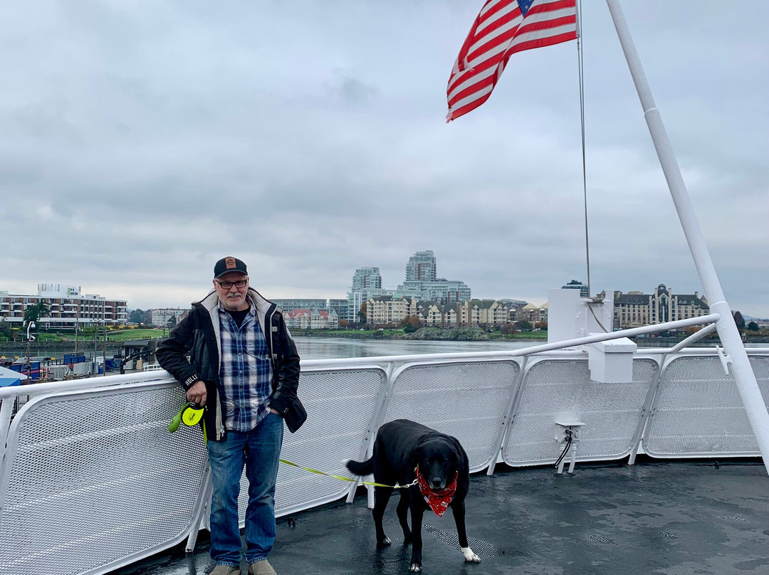 Black Ball Ferry Line景点图片