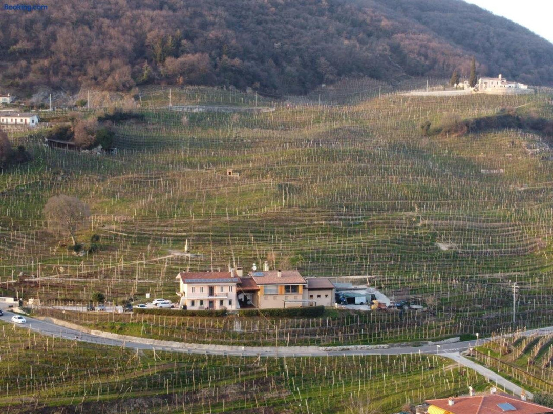 Agriturismo B&B Casa Bortolin主图