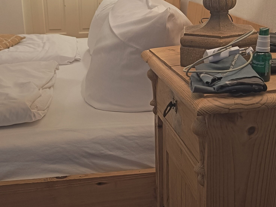 Das-Hornsteiner主图