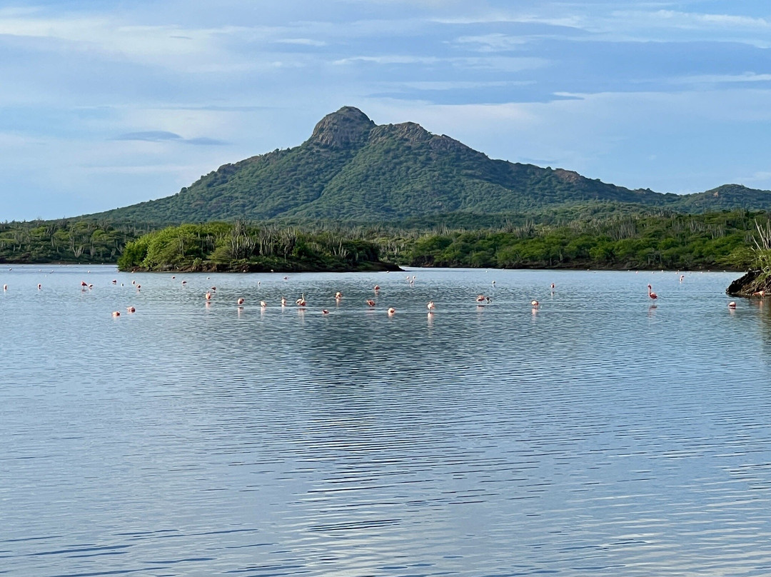Gotomeer-博奈尔岛必去景点