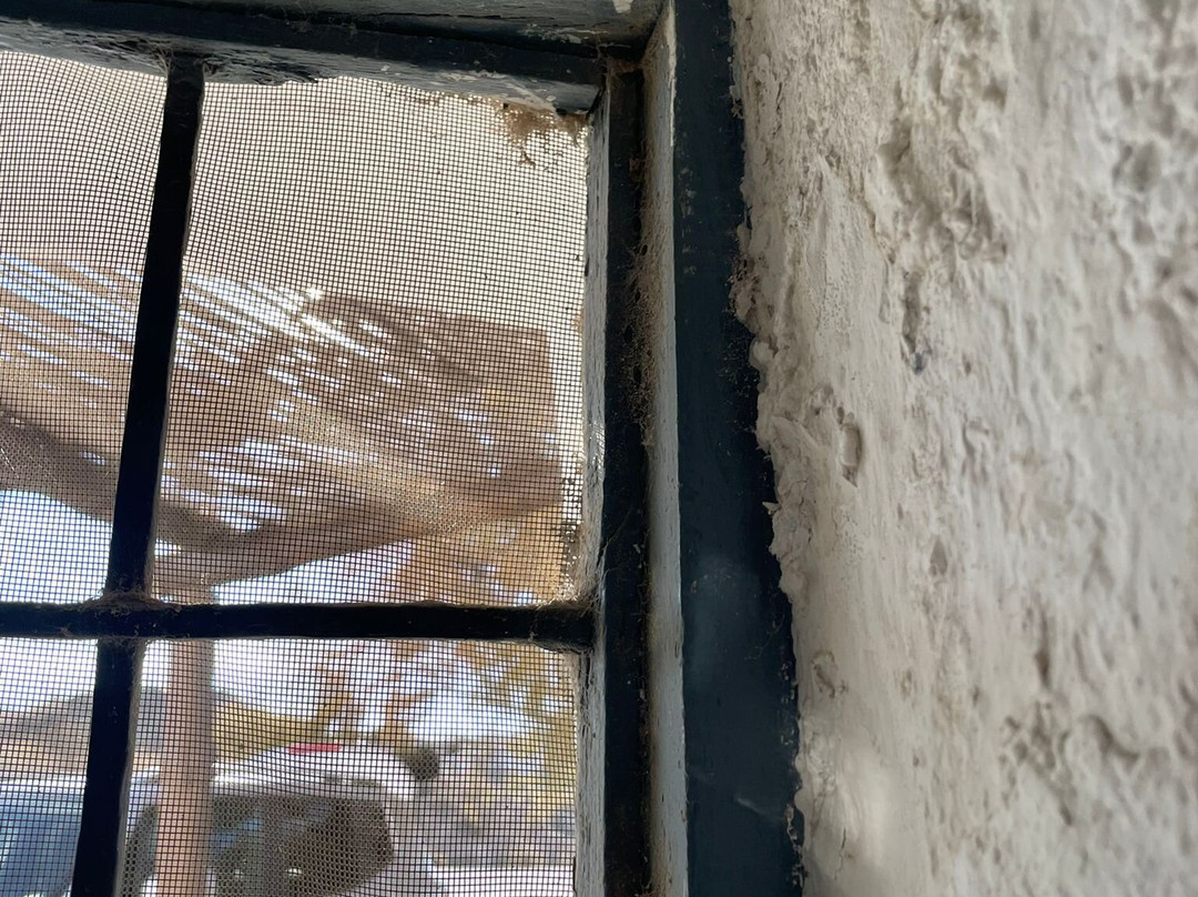 Cuevas Al Jatib主图