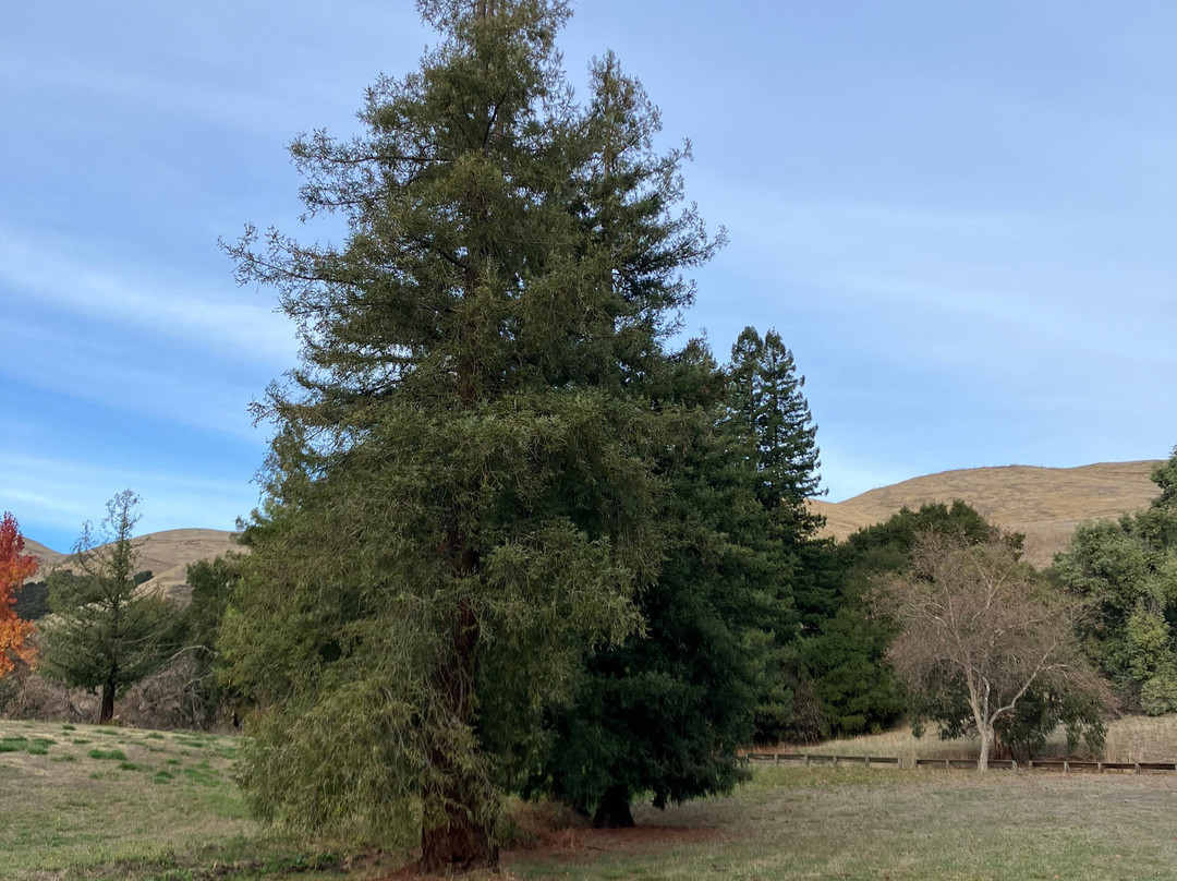 艾德莱文县公园-米尔皮塔斯必去景点