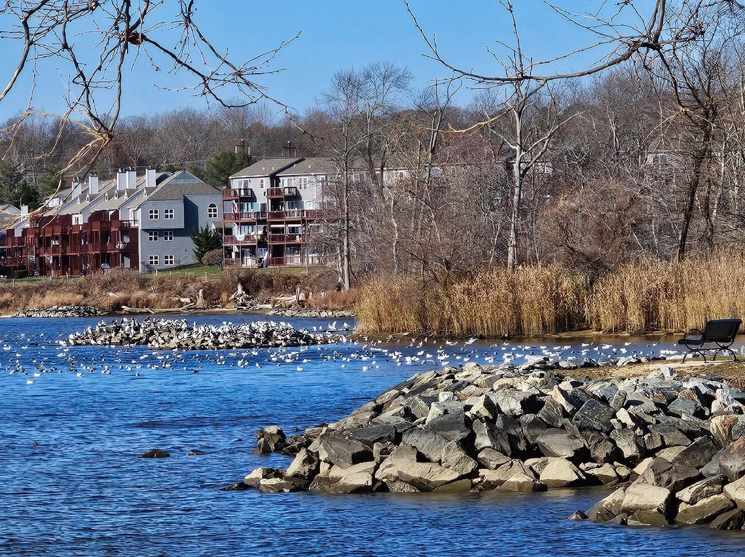 North East Community Park景点图片