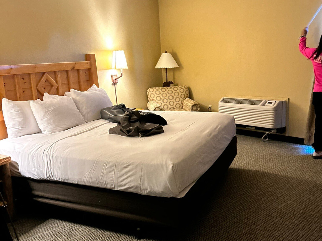 Great Wolf Lodge - Kansas City, KS主图