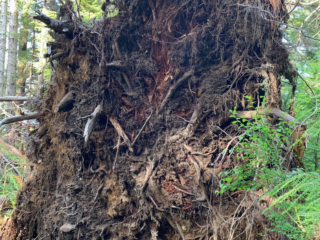 Regier Lake Trail-Daajing Giids必去景点