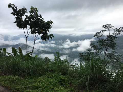 Kappimala-Alakode必去景点