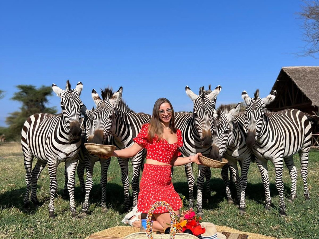 ZanhazyTours-桑给巴尔市必去景点